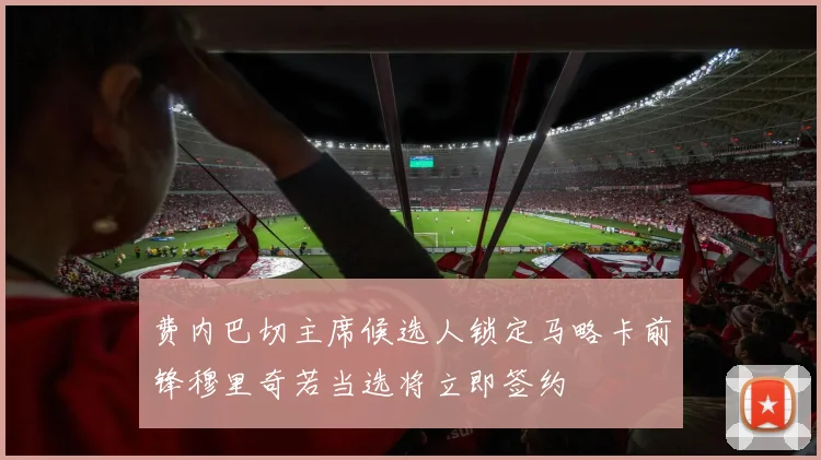 费内巴切主席候选人锁定马略卡前锋穆里奇若当选将立即签约